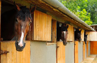 free Evertown stable construction quotes